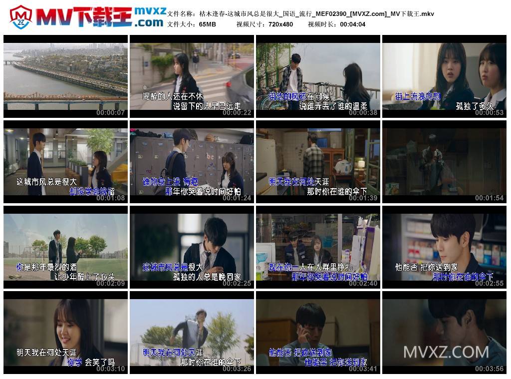 枯木逢春-这城市风总是很大_国语_流行_MEF02390